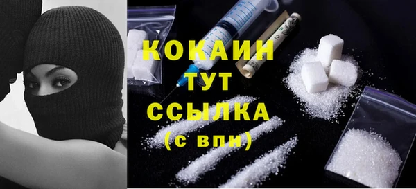 стафф Алзамай