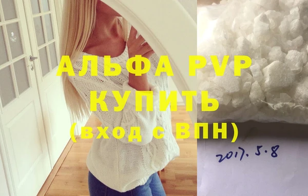 стафф Алзамай
