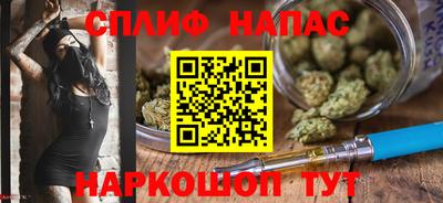эйфоретик Гай