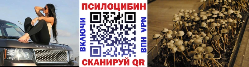 mega зеркало  наркотики  Саров  Псилоцибиновые грибы Cubensis 