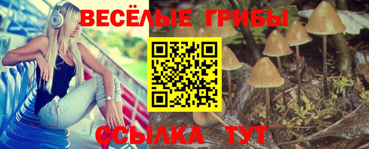 Галлюциногенные грибы MAGIC MUSHROOMS Саров
